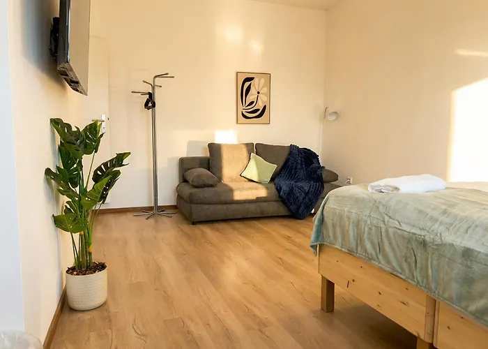 Modern Private With Balcony Near Belvedere Palace Βιέννη